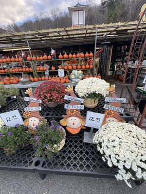 Auntie El's Farm Market by null