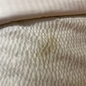 La Quinta Inn by Wyndham Abilene - Bedding stains - Hotels Near Me - Abilene, Texas