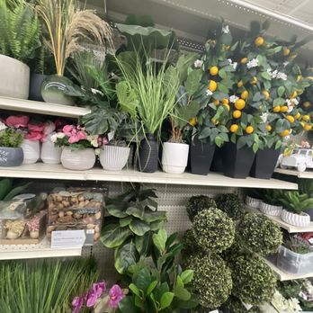 Big Lots - Artificial plants and flowers, including potted greenery, pink blossoms, and citrus-themed decor, are arranged on store shelves at Big Lots in Schererville, IN. - Department Stores Near Me - Schererville, Indiana