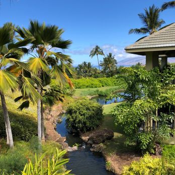 Hotel Wailea Maui - The lush property - Hotels Near Me - Wailea, Hawaii Hotel Wailea Maui - The lush property - Hotels Near Me - Wailea, Hawaii