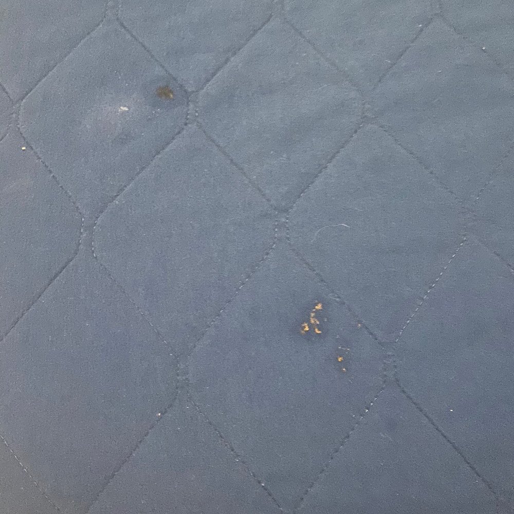 Elliot Realty - Stains on comforter's - Vacation Rentals Near Me - North Myrtle Beach, South Carolina Elliot Realty - Stains on comforter's - Vacation Rentals Near Me - North Myrtle Beach, South Carolina