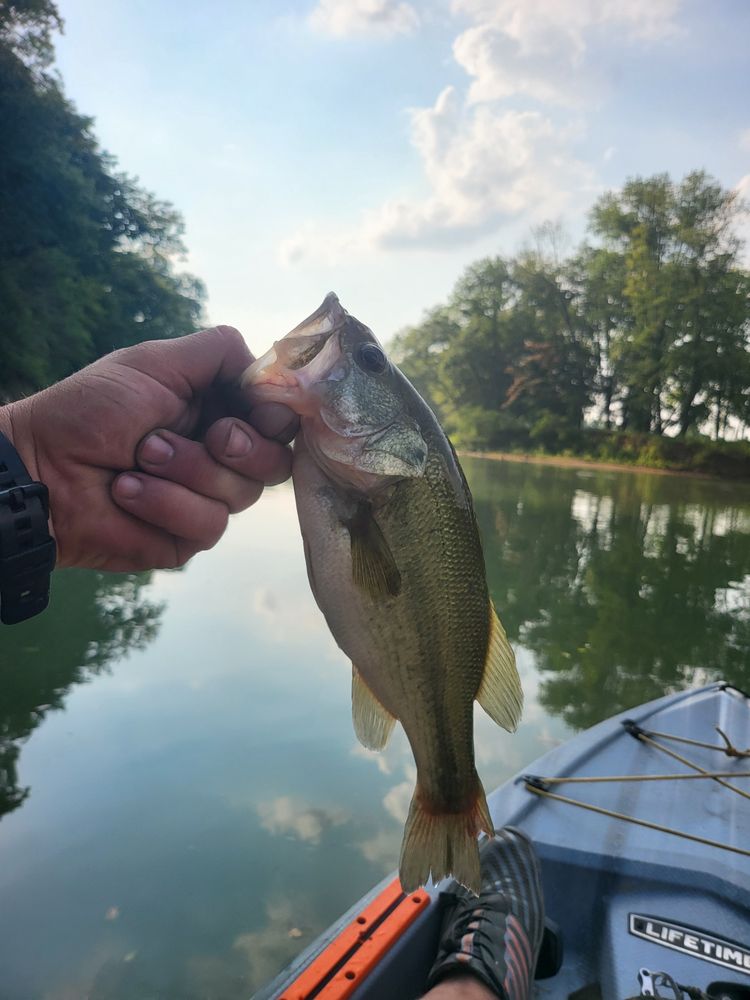 Slide of Rainey Day's Handyman Service