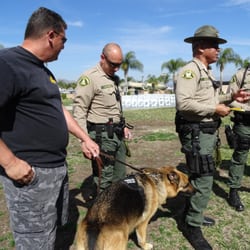 loyal k9 dog training