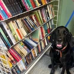 AJ’s Book Hideaway - Grand Opening!