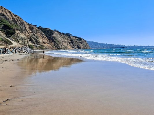 Black's Beach by null