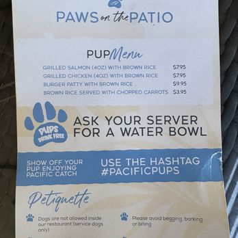 Pacific Catch - July 2025 pup menu - Seafood Near Me - Dublin, California Pacific Catch - July 2025 pup menu - Seafood Near Me - Dublin, California