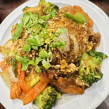 Palm Thai - Pad Woon Sen Dinner - Thai Near Me - Tampa, Florida Palm Thai - Pad Woon Sen Dinner - Thai Near Me - Tampa, Florida