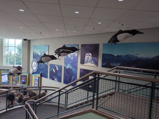 Alaska SeaLife Center by null