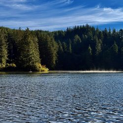 Mercer Lake Resort - Mercer Lake