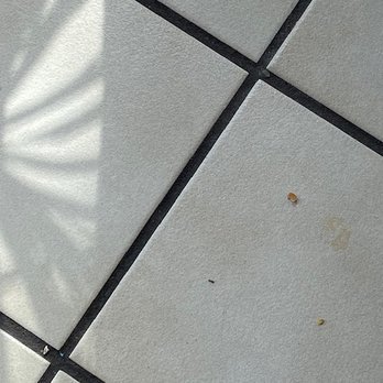 Mi Restaurante - A tiled floor with light-colored tiles, dark grout lines, shadows cast on the surface, and small debris or dirt particles. - Mexican Near Me - Mount Prospect, Illinois