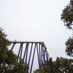 Steel Eel Hypercoaster - Steel Eel
