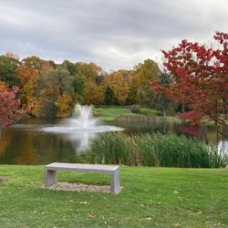 Shadow Lake