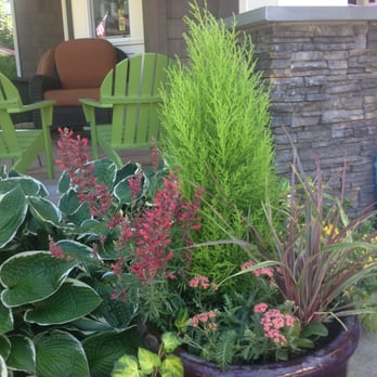 Elemental Landscapes - A lush summery container, designed for a client in Bellevue. - Landscaping Near Me - Seattle, Washington Elemental Landscapes - A lush summery container, designed for a client in Bellevue. - Landscaping Near Me - Seattle, Washington