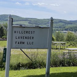 Hillcrest Lavender Farm
