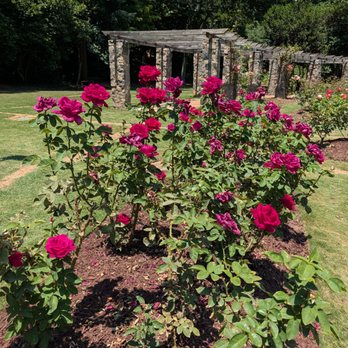 Raleigh Rose Garden - Community Gardens Near Me - Raleigh, North Carolina