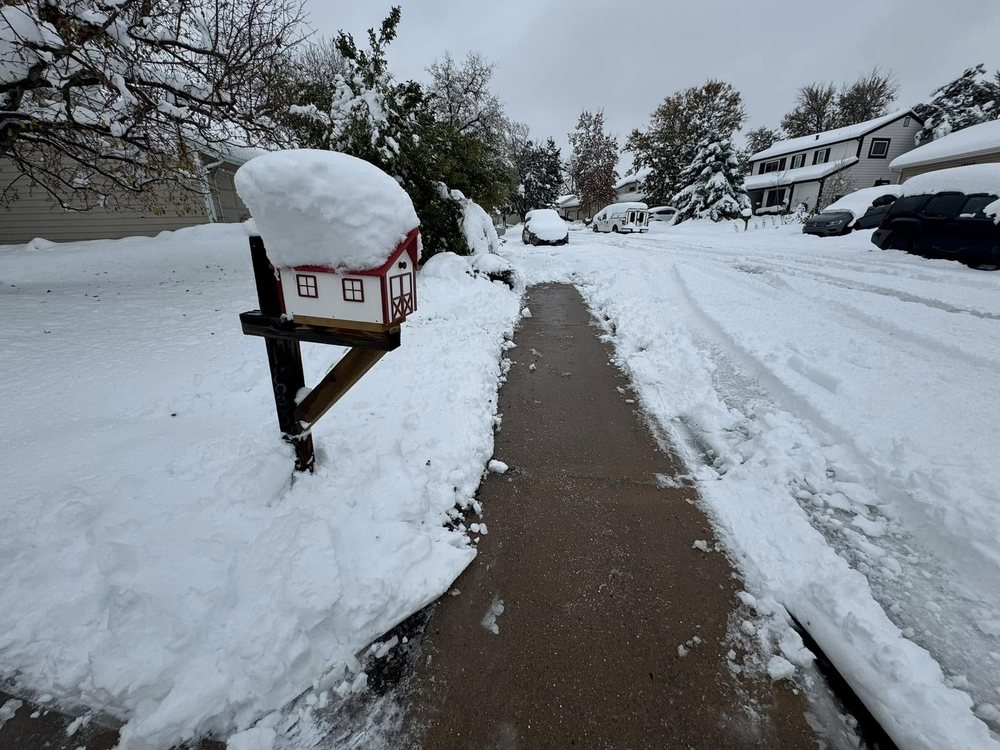 LDFY Fence Repair and Services - veterans service organization in Denver, CO