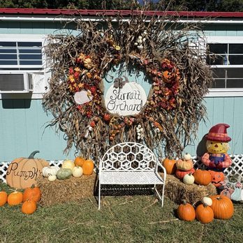 Surratt Orchards - Photo op - Christmas Trees Near Me - Lexington, North Carolina