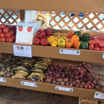 Perkins Orchard - Peppers, potatoes, and fresh Apple Cider - Farmers Market Near Me - Durham, North Carolina