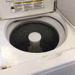 Filthy washing machines so make sure you find a decent one