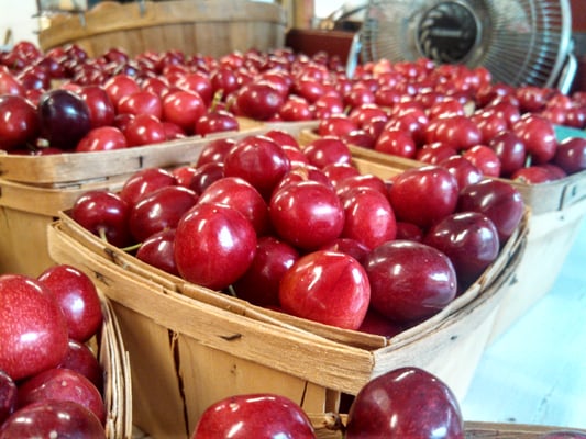 Tantillo's Farm Market by null