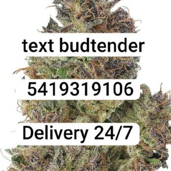 Local Roots - Sturbridge - Cannabis Dispensaries Near Me - Sturbridge, Massachusetts Local Roots - Sturbridge - Cannabis Dispensaries Near Me - Sturbridge, Massachusetts