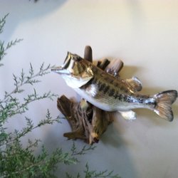 First Baptist Church Of Thomson - Http://www.fbcthomson.org/wild-game-supper.html