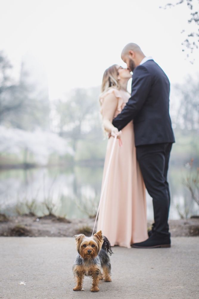 DAYDREAM PHOTO STUDIO Harrison, New Jersey Videographers Phone