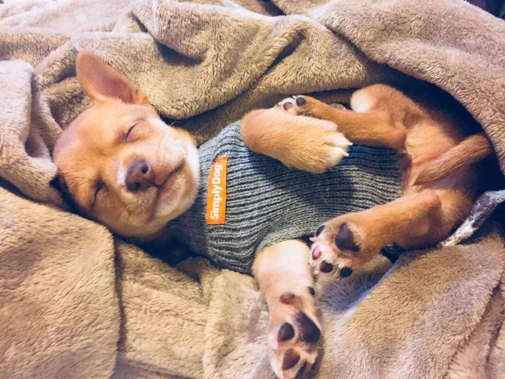 COTTAGE GROVE VETERINARY CLINIC Updated August 2024 1221 E Main St