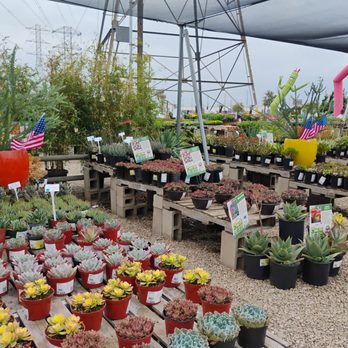 Garden View Nursery - Nurseries & Gardening Near Me - Irwindale, California Garden View Nursery - Nurseries & Gardening Near Me - Irwindale, California