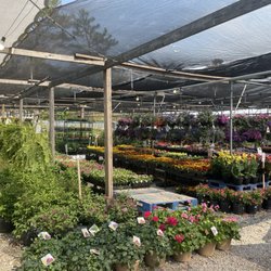 Sunshine Gardens