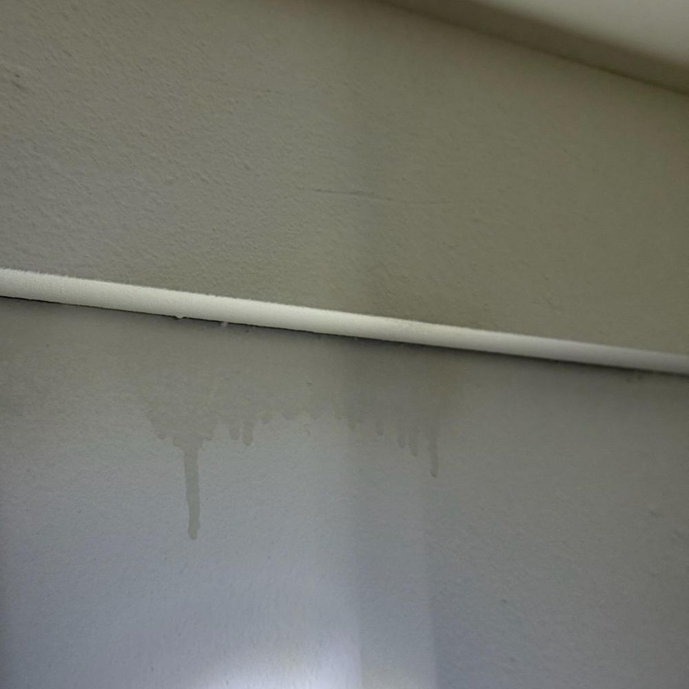 Catch My Mold - Environmental Testing Near Me - Los Angeles, California Catch My Mold - Environmental Testing Near Me - Los Angeles, California