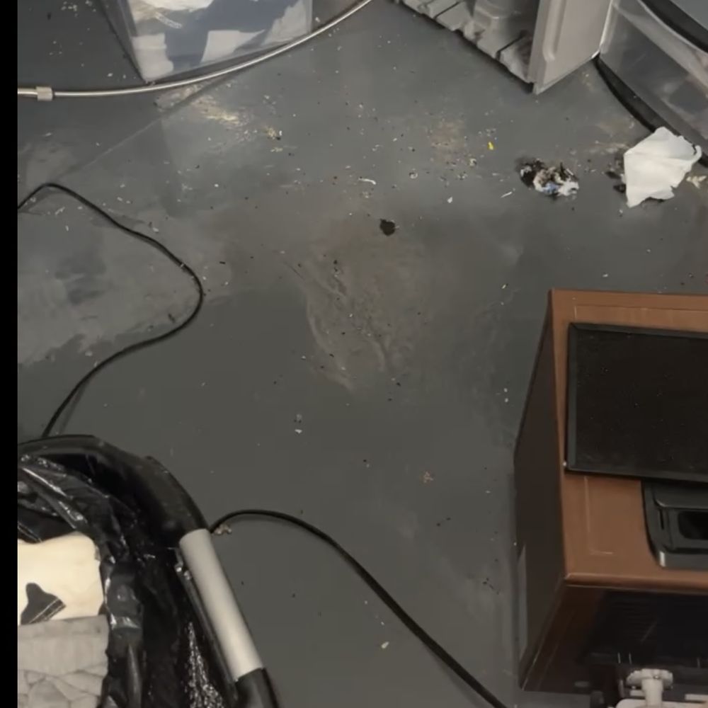 Extra Space Storage - rat feces and urine - Self Storage Near Me - Chicago, Illinois