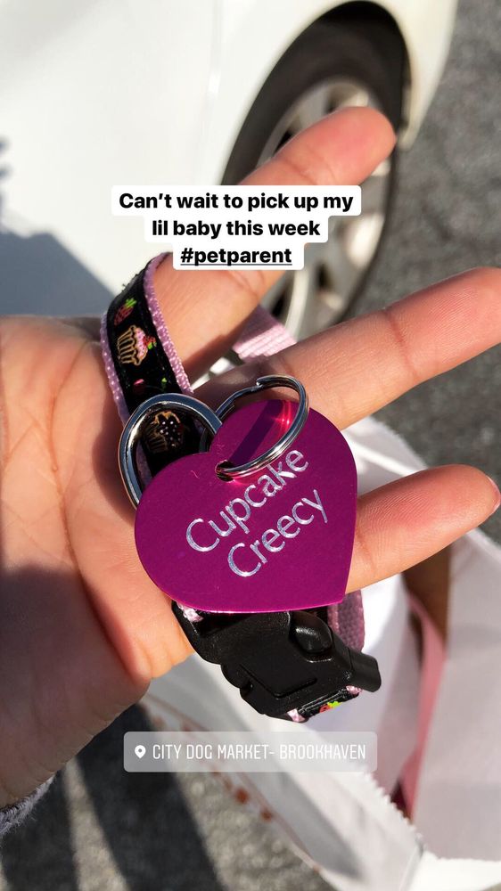 city dog market hours