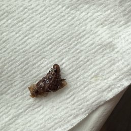 You tell me - disgusting!