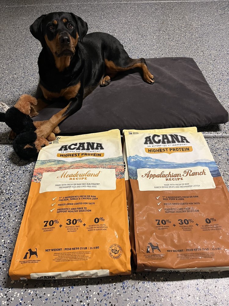 HEALTHY TAILS Updated August 2024 51 Photos & 12 Reviews 55