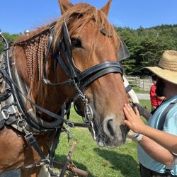Carriages of Acadia