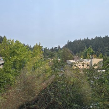 Senju Holistic Healing - View from the window. - Massage Therapy Near Me - Portland, Oregon Senju Holistic Healing - View from the window. - Massage Therapy Near Me - Portland, Oregon