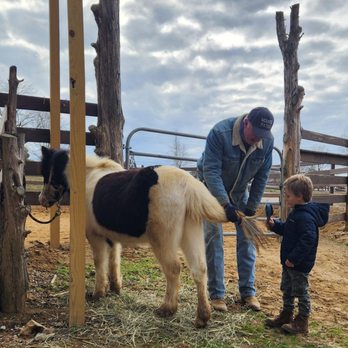 R&M Stables - Horseback Riding Near Me - Hendersonville, Tennessee