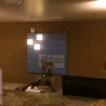 Holiday Inn Express - Dodger working the front desk - Hotels Near Me - Coeur D Alene, Idaho Holiday Inn Express - Dodger working the front desk - Hotels Near Me - Coeur D Alene, Idaho