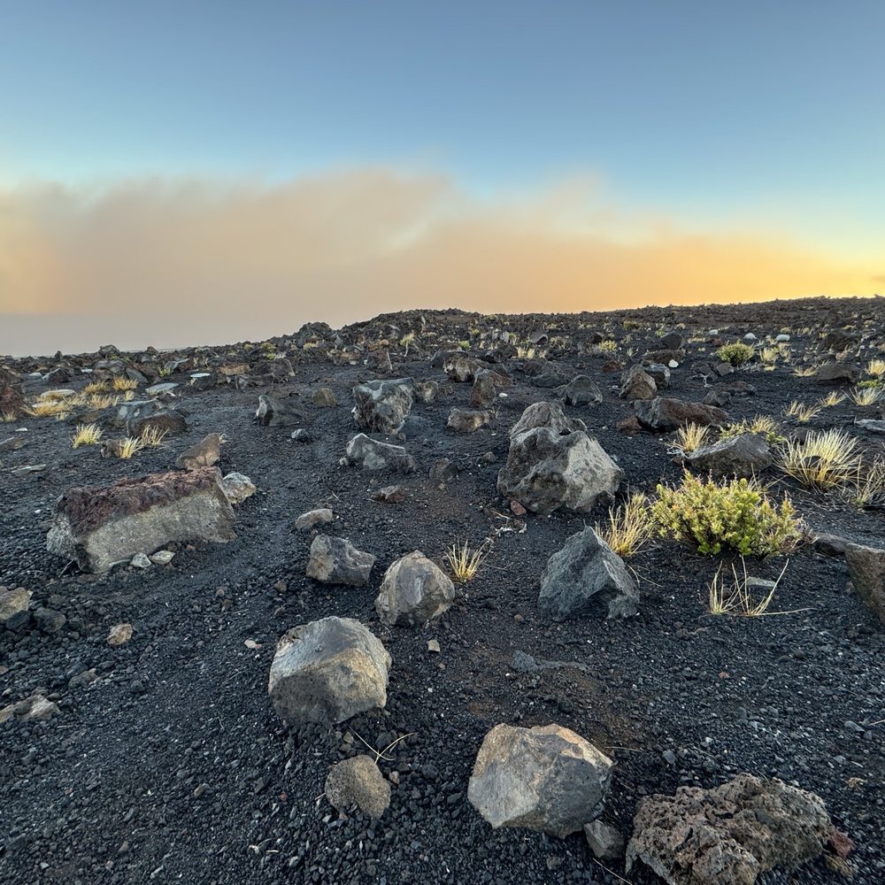 Valley Isle Excursions - Historical Tours Near Me - Wailuku, Hawaii
