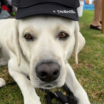 Jamie Blakely - Compass - Duke - Kelly Brennan's Dog - Our Team Mascot - Real Estate Agents Near Me - Laguna Beach, California Jamie Blakely - Compass - Duke - Kelly Brennan's Dog - Our Team Mascot - Real Estate Agents Near Me - Laguna Beach, California