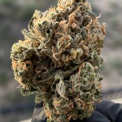 Urban Wellness - Rio Rancho - Flower - Blue Dream