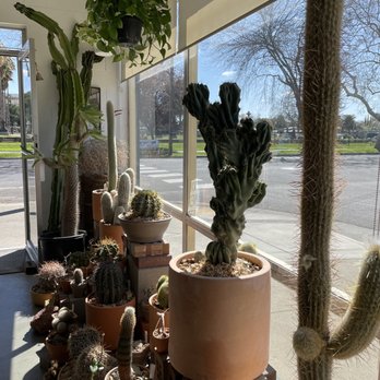 Public Land Store - Nurseries & Gardening Near Me - Sacramento, California Public Land Store - Nurseries & Gardening Near Me - Sacramento, California