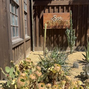 Bar Camino - Mexican Near Me - Walnut Creek, California Bar Camino - Mexican Near Me - Walnut Creek, California