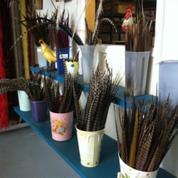 Rainbow Feathers Company