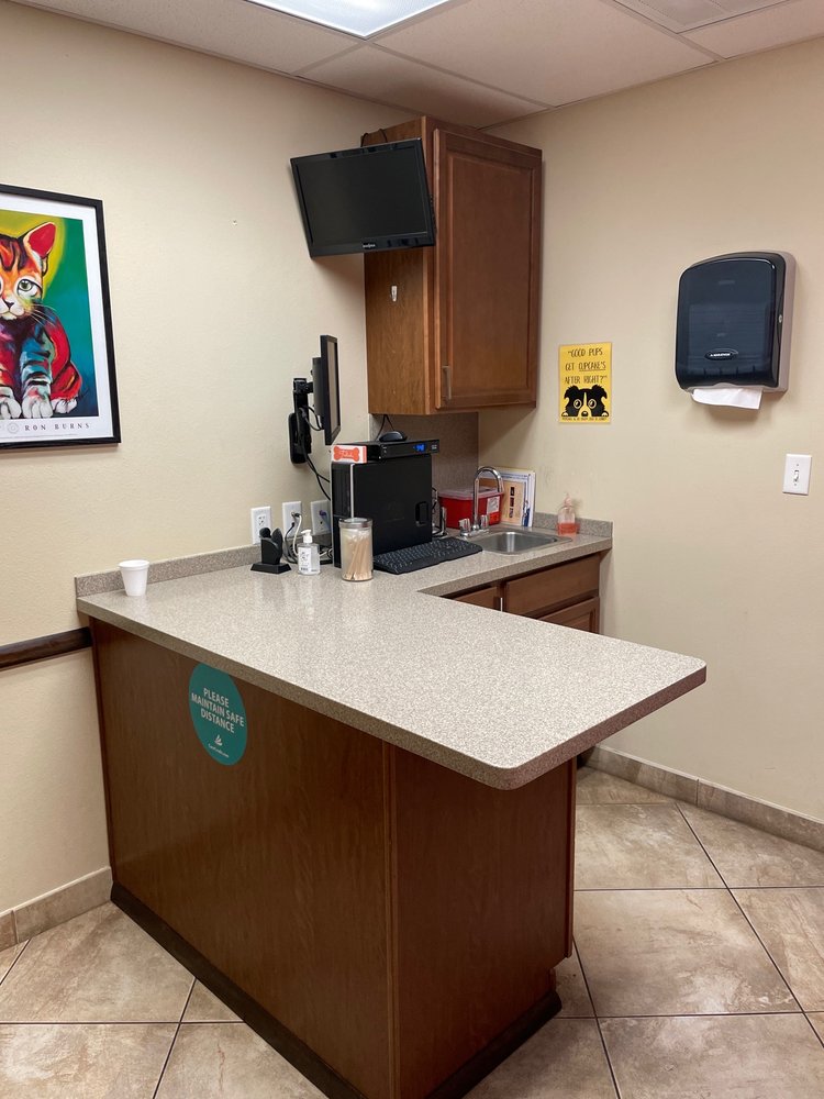 PET PARADISE ANIMAL HOSPITAL Updated August 2024 54 Photos & 44