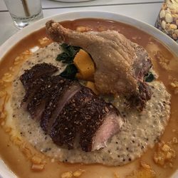 The Salty Zebra - Duck