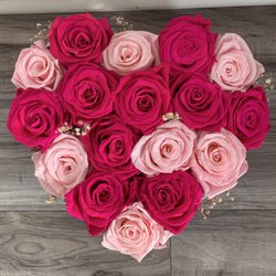 Le Bloom De Nardos