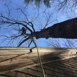 JNR Tree Services