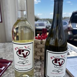 Pauma Vista Vineyard